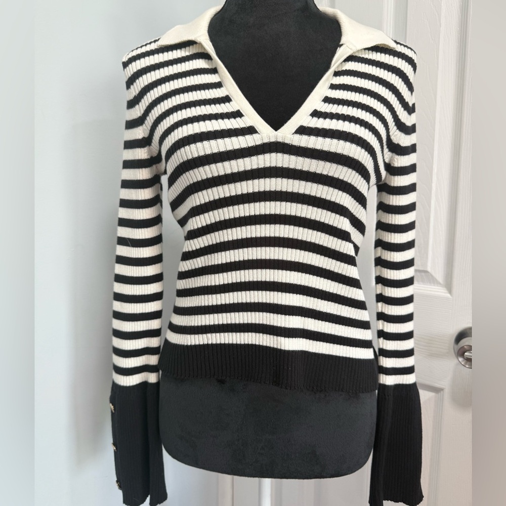 Anthropologie Striped V-Neck Sweater in Black and Cream